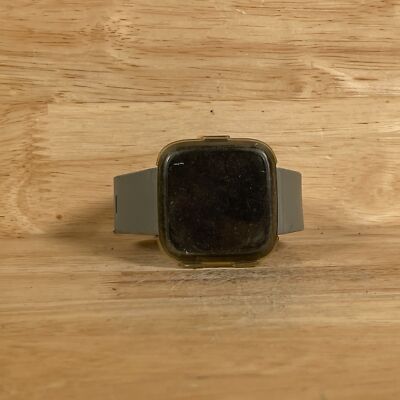 Fitbit Versa FB504 Indoor/Outdoor Wireless Fitness Activity Tracker Smart Watch