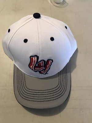 ironpigs bacon hat