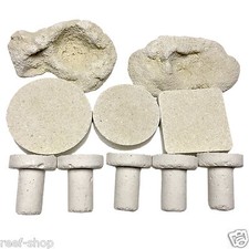 10 Assorted Cured Frag Plugs for Live Coral Reef Propagation
