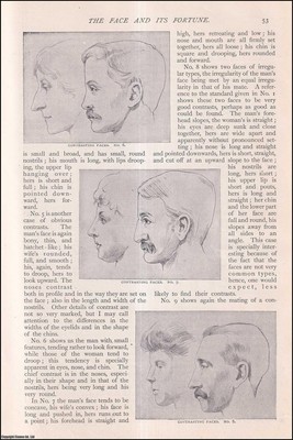 THE FACE & ITS FORTUNE. DAS GESETZ DER KONTRASTE IN BEZUG AUF DAS VERLIEBEN. AN