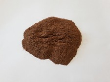 Kigelia africana - Mpunguri - Árbol salchicha
