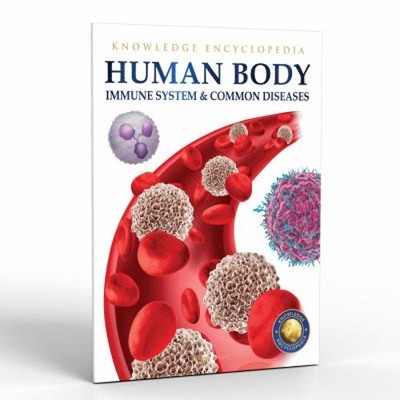 Human Body : Immune System and Common Diseases Paperback Wonder H