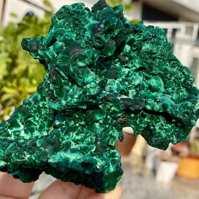 1.43LB Natural Velvet Malachite Gorgeous Green Needles Mineral Specimens Healing