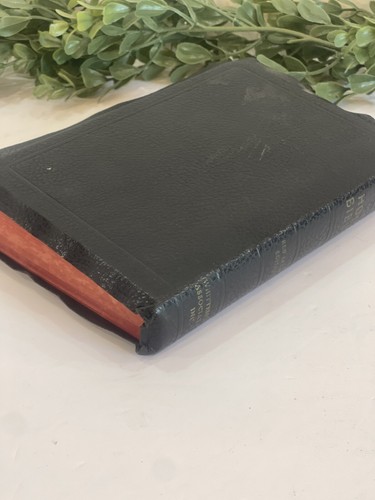 Bibel Konkordanz KJV Roter Brief Ausgabe Weltverlag 8” x 5,5” | BIBEL - Bild 3 von 6