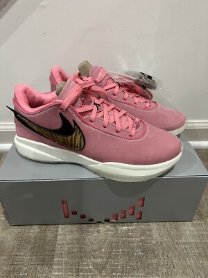 Nike Lebron 20 (XX) 'South Beast' - Size 10.5 (DQ3828-900) | eBay