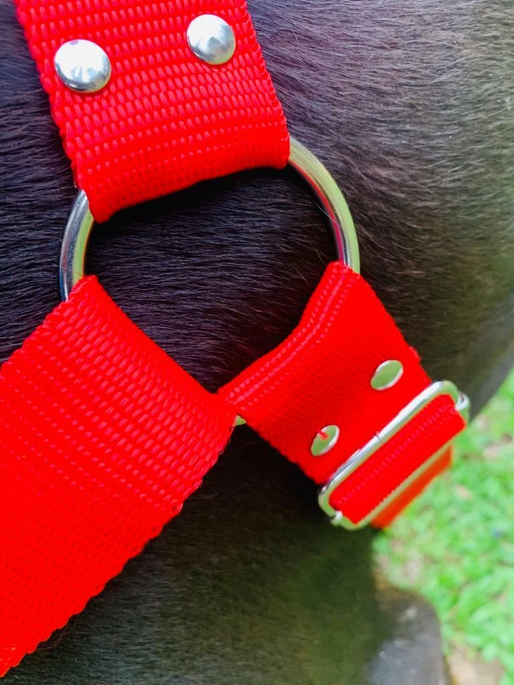 Dog Harness Pet New Nylon Durable Reflective Adventure Outdoor Safety Adjustable