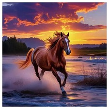 Diamond Painting Kits for Adults, Horse Round Full Drill Diamond Art Kits, 5D DI