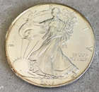 Circulated 2015 American Eagle Silver Dollar - encapsulated!