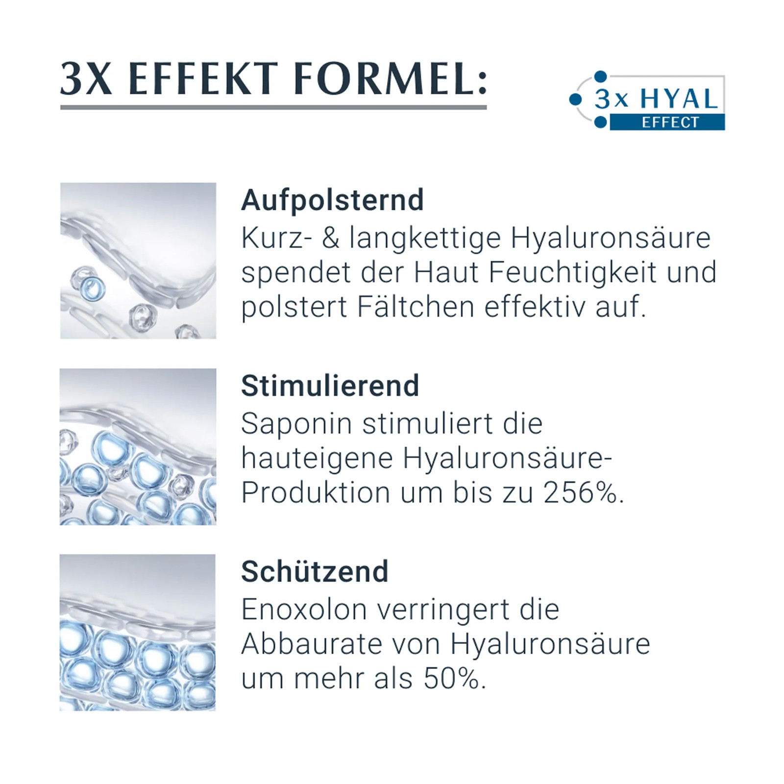 Bild 7 von 7