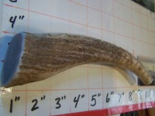 EXTRA LARGE Elk Antler Dog Chew Medium Hard LABS RETRIEVERS HOUNDS- Or HARD