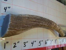 EXTRA LARGE Elk Antler Dog Chew Medium Hard LABS  RETRIEVERS HOUNDS- Or HARD