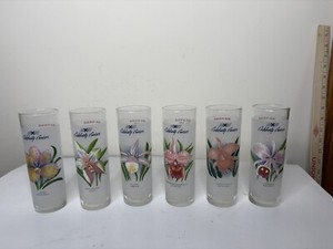 Celebrity Cruises Orchid Flowers Tall Frosted Glass Cocktail Recipes Set Of 6