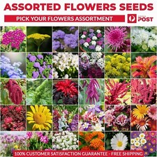 "CHOOSE YOUR Garden FLOWERS 250+ Variety Seeds GROW  FLOWERS Garden  SEEDS