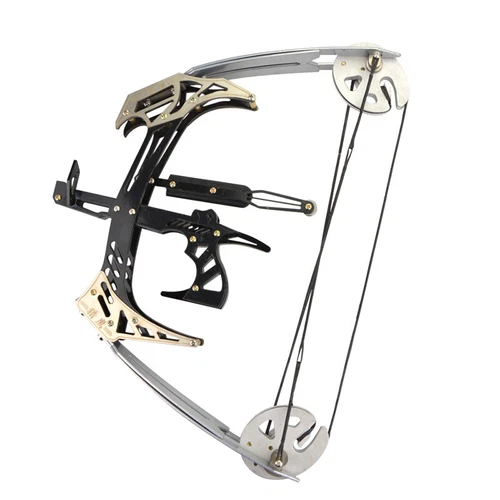 Archery Hunting 25lbs MINI Triangle Fishing Compound Bow Kit Arrows Right Hand - Picture 6 of 15