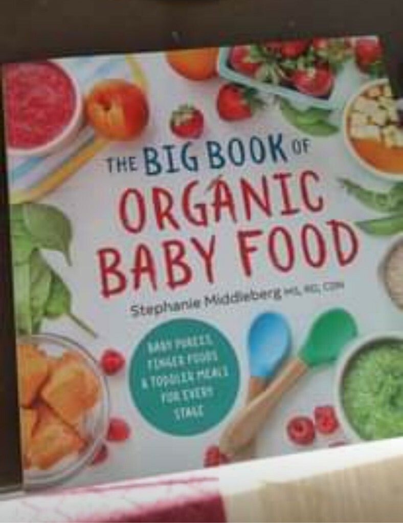 NEVER used Food Blender/Steamer, reusable pouches, organic baby food recipe book