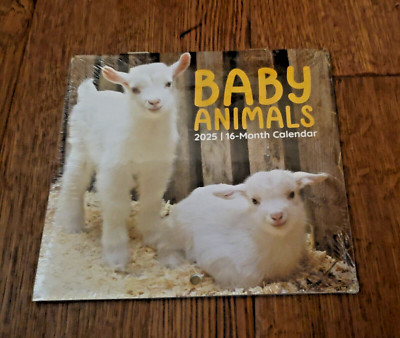 Small Calendar 2025 Mini Calendar Baby Animals