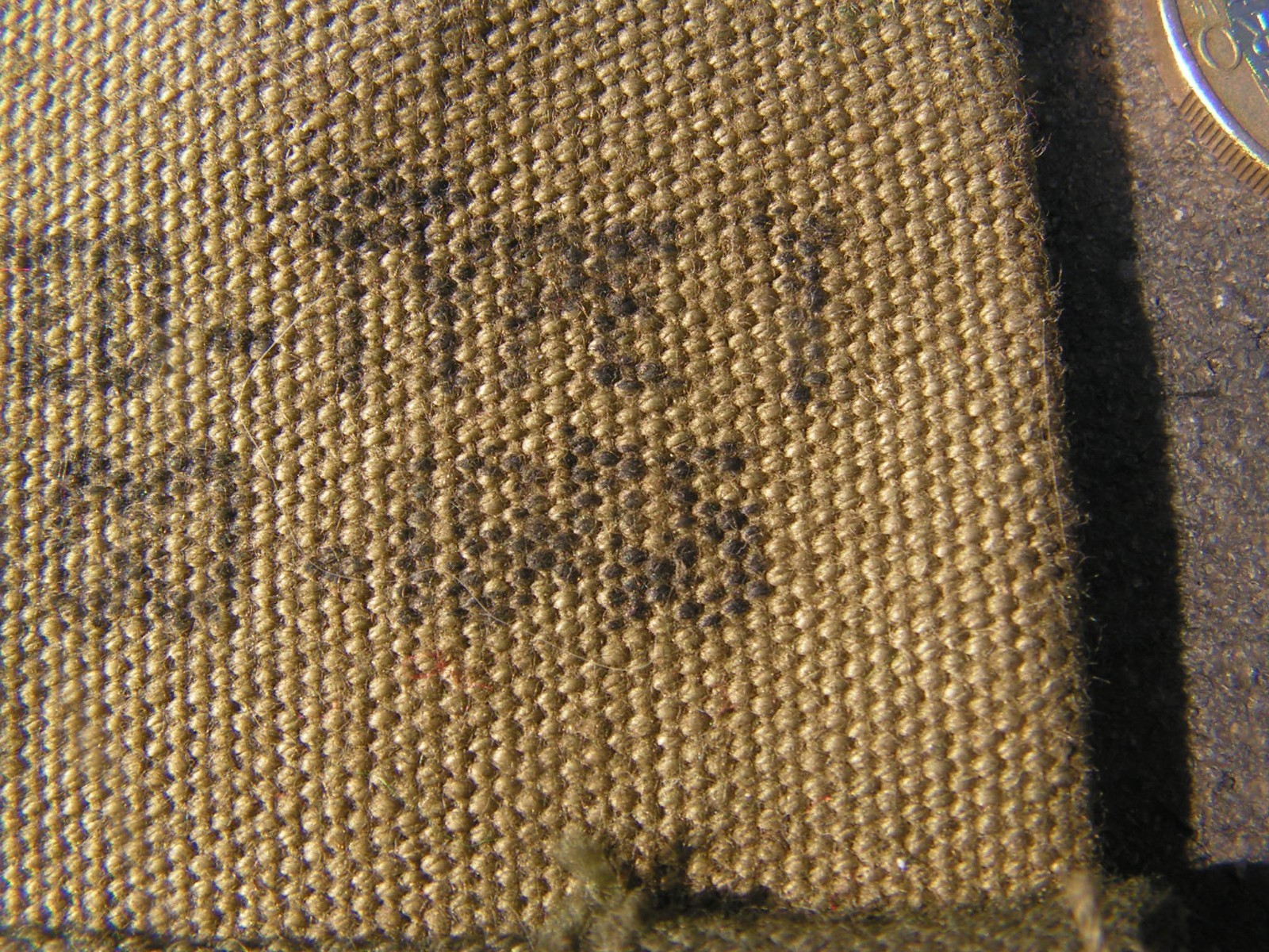Picture 3 of 3