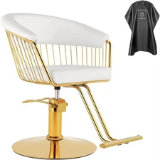 Barber Chair Height Adjustable Salon Chair Heavy Duty 360° Swivel Hair Chair