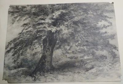 Armand CASSAGNE (1823-1907) GRAND DESSIN PAYSAGE ARBRE BARBIZON FONTAINEBLEAU - Photo 1/4