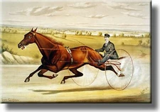 Horse Carriage Race Picture on Stretched Canvas, Wall Art Décor, Ready to Hang!