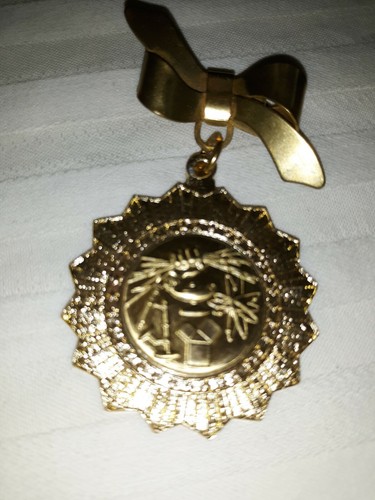VTG Symbolic Women's Nursing/ Engineering or Biblical??? Pendant Or Lapel Pin - Picture 2 of 4