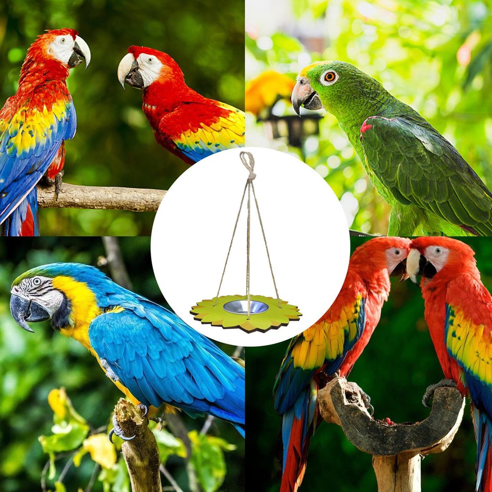 Hangings Bird Feeder Wild Bird Feeders For Garden Bird Feeder Pole