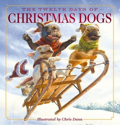 TWELVE DAYS OF CHRISTMAS D HB by SOBOTKA AMANDA Hardback Self Help Business