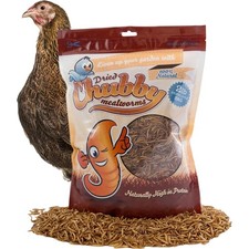 Versatile 2 lbs Chubby Dried Mealworms for Wild Birds, Chickens  Hedgehogs