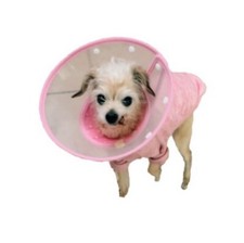 Padded Adjustable Pet Recovery Collar for Dogs and Cats in 4 Colors  Sizes.