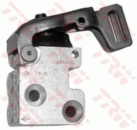TRW GPV1179 Bremskraftregler For Seat VW