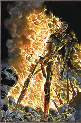   TERMINATOR #1 CVR Q - 1:25 RATIO ROSS BURNING EARTH  FOIL *10/09/24 PRESALE