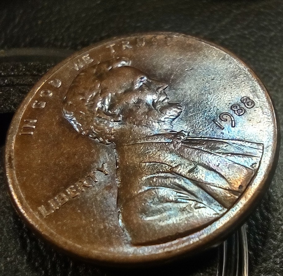Picture 19 of 24