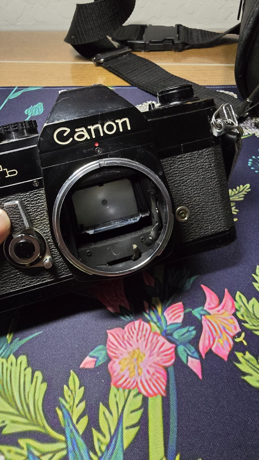 Canon FTb eBay