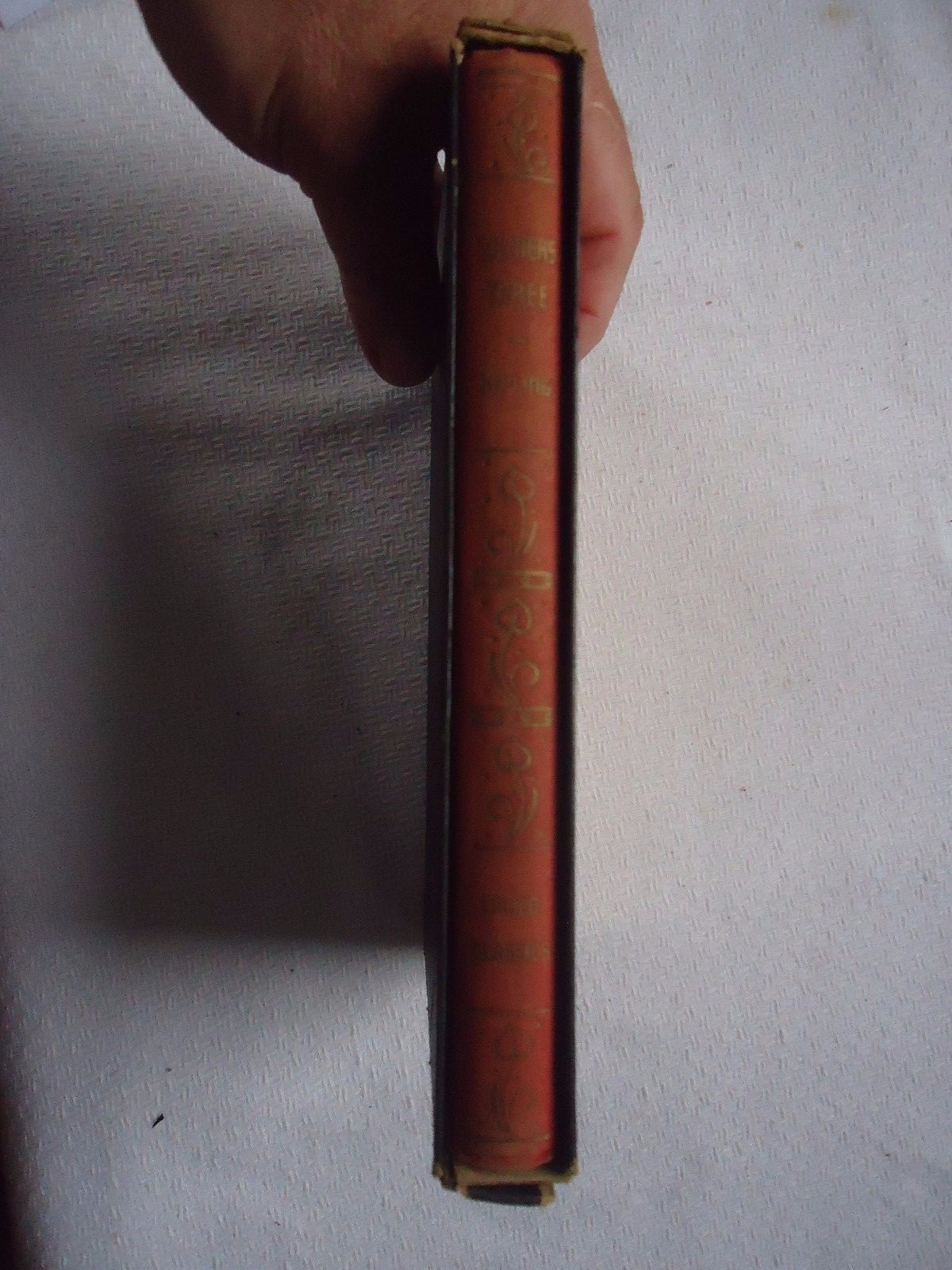 Picture 7 of 7
