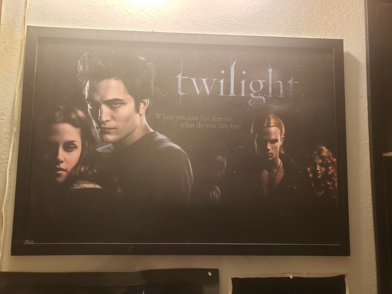  Twilight Saga Original Canvas Painted & Textured Framed Movie Art