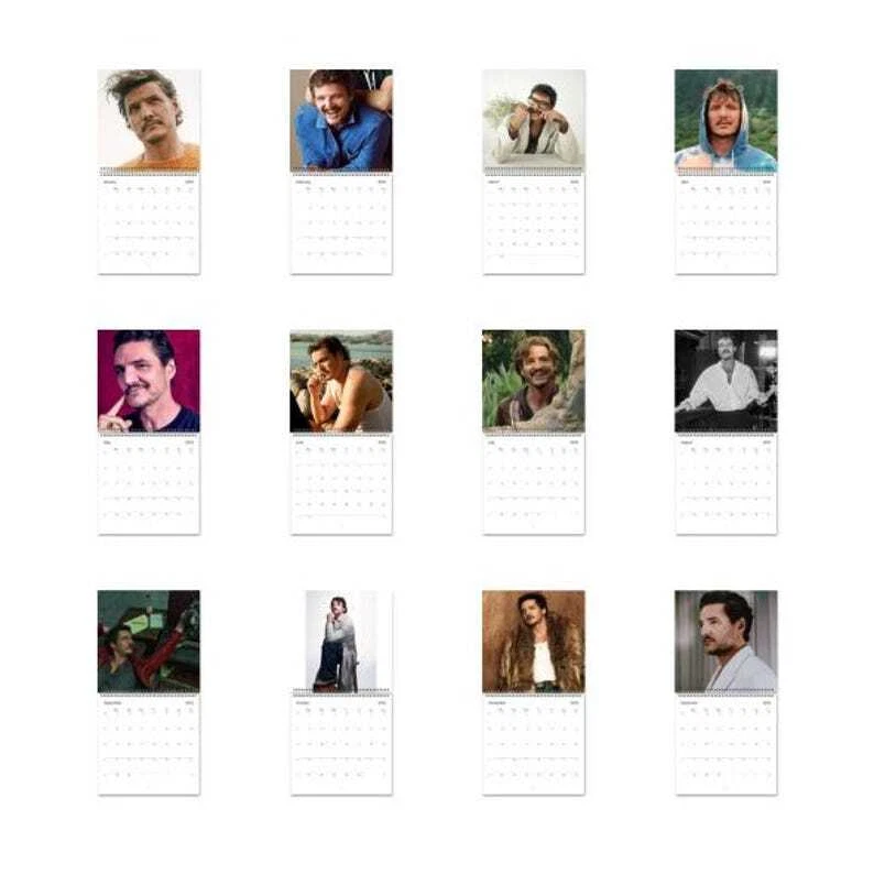 Pedro Pascal 2025 Wall Calendar, Perfect Calendar Gift for Pedro Pascal Fans