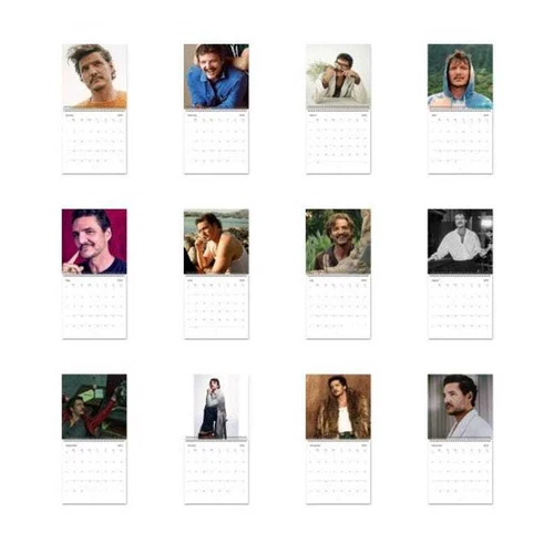 Pedro Pascal 2025 Wall Calendar, Perfect Calendar Gift for Pedro Pascal Fans