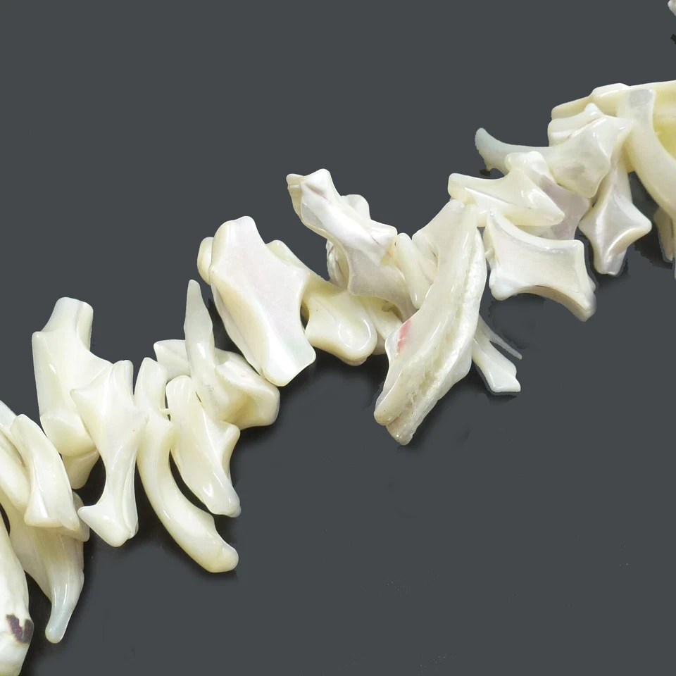 Perlen aus Muscheln Perlmutt 15-45 mm ca. 85 Stück Spacer nenad-design R047 - Bild 2 von 4