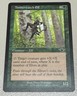 Timberwatch Elf - MTG - Legions - ©2003 NM Unplayed