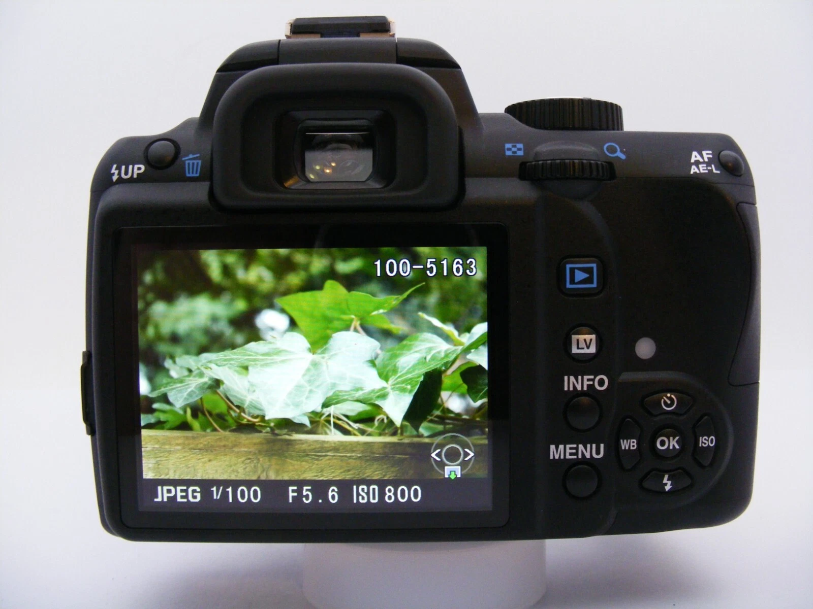 Picture 23 of 24