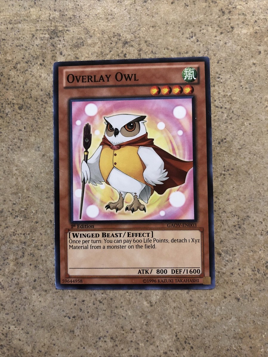 yugioh owl cards Card Gallery:An of Luck | Yu-Gi-Oh! Wiki YuGiOh Dark Revelation 1 An Owl of Luck DR1 Overlay Owl - GAOV-EN003 -