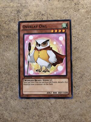 Overlay Owl - GAOV-EN003 - Common - Unlimited Edition Near Mint Yugioh Card | eBay Overlay Owl - GAOV-EN003 - Common - Unlimited Edition Near Mint Yugioh Card | eBay