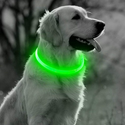 Collares carga fluorescentes para perros mascota gran oferta de | eBay