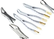 PREMIUM GERMAN DENTAL EXTRACTING EXTRACTION FORCEPS # 150+151+23-HEAVY DUTY GOLD