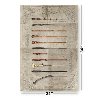 Harry Potter - Movie Poster / Print (The Wand Chooses The Wizard