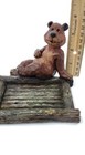 Bild 10 von 16