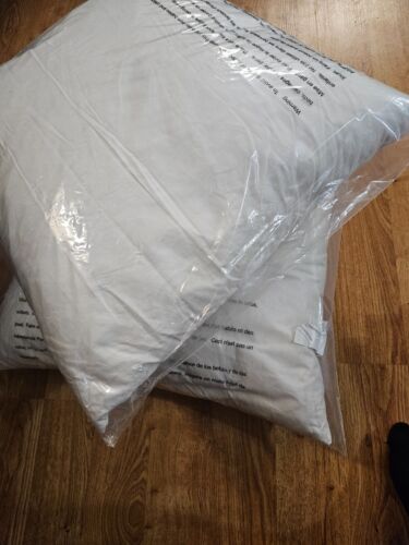 Pack of 2 - Pottery Barn Down Pillow Inserts 22x22