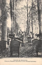 CPA 64 RUCHER DE MONREPOS CHANOINE PATAA APICULTEUR A IDRON (cpa rare