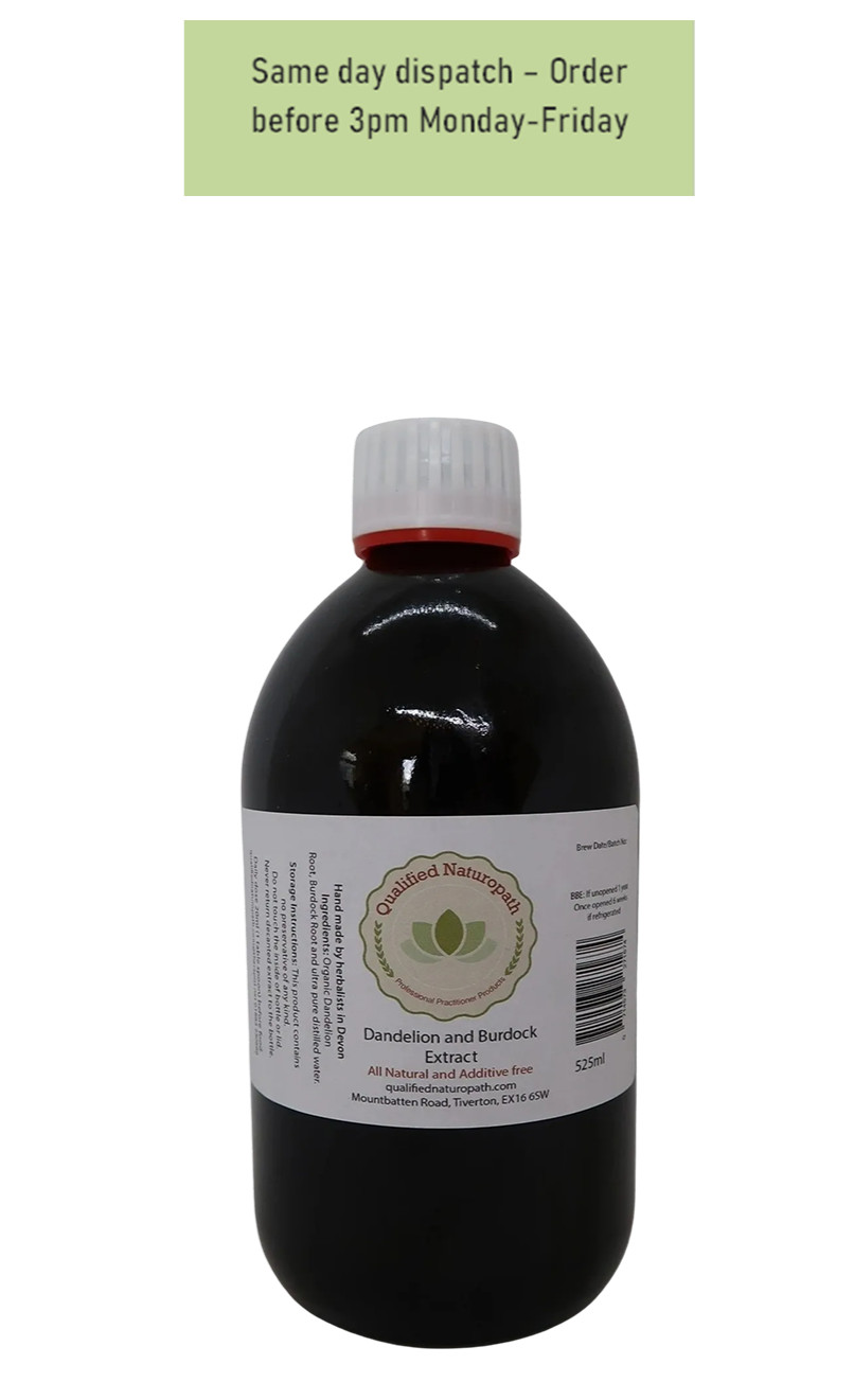 Dandelion and Burdock Extract - 525ml - In Glass UV Resistant Bottle