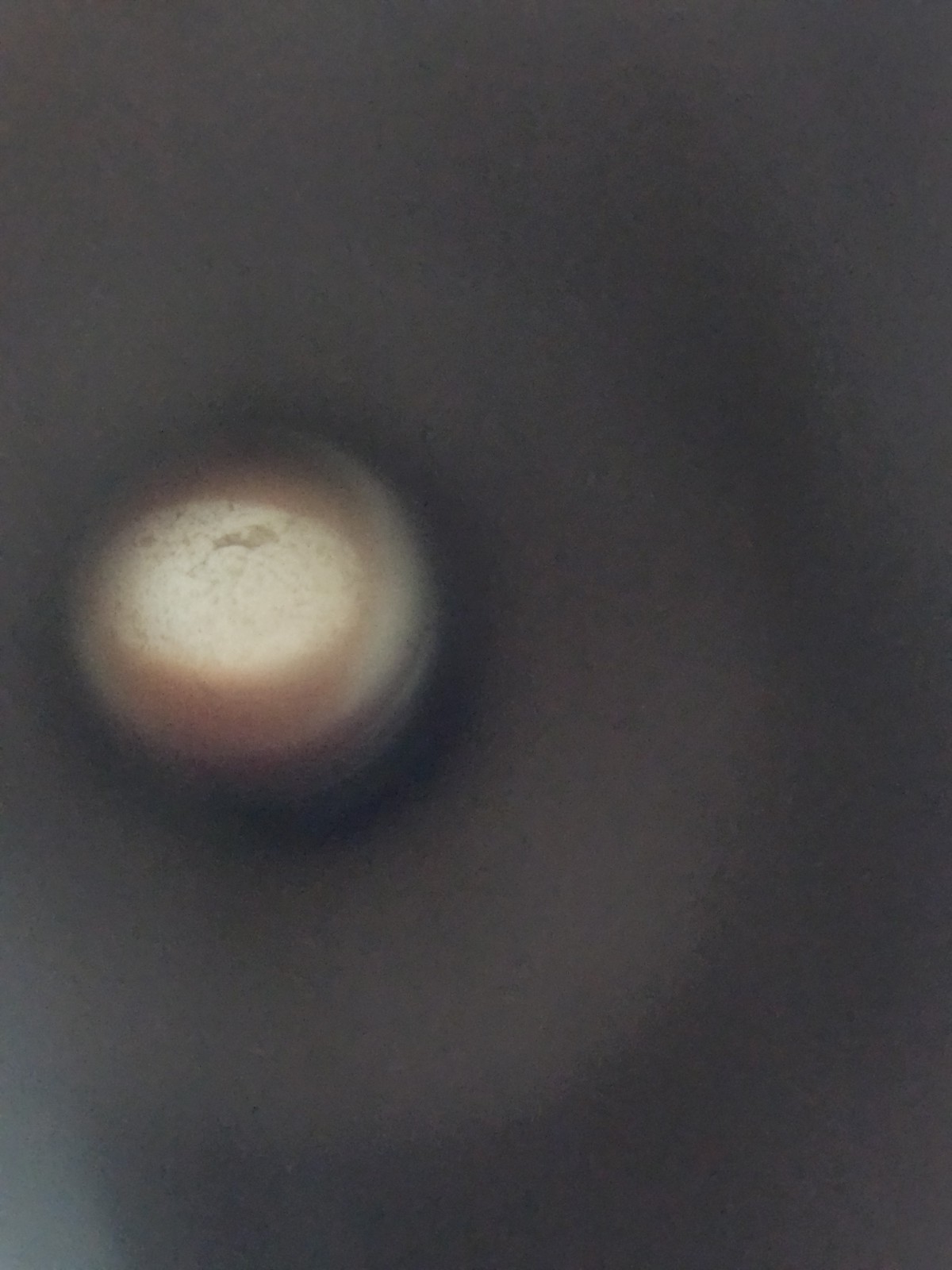 Bild 9 von 14